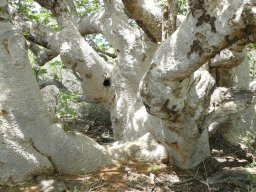 284806_10150265622394901_5702596_n